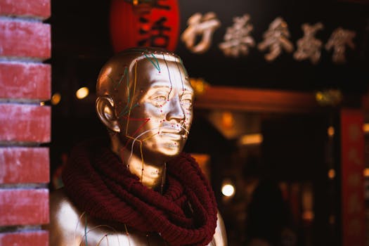 Harmonie a Zdraví: Jak Tradiční Čínská Medicína Chápe Rovnováhu Těla